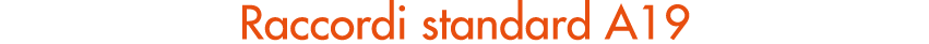 Raccordi standard A19