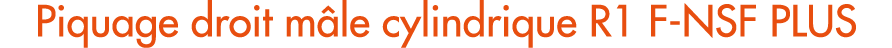 Piquage droit m le cylindrique R1 F NSF PLUS